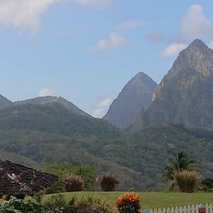 Meet your Posher, Sophia